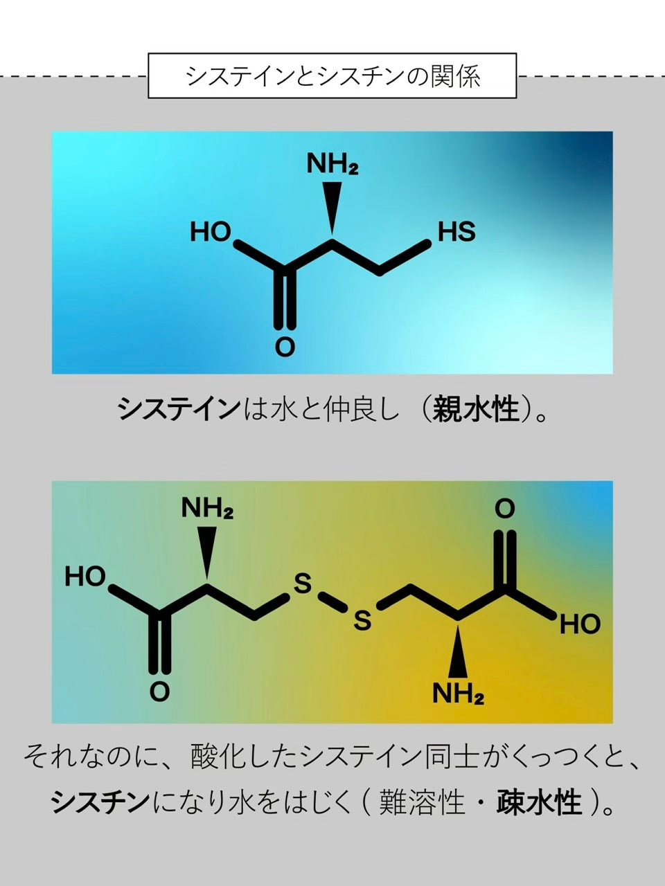 C ギガ プレックス 150ml