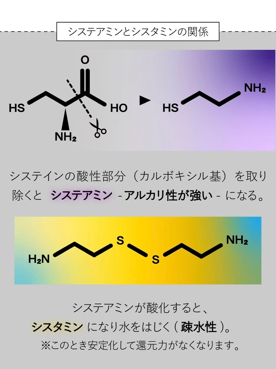 C ギガ プレックス　150ml
